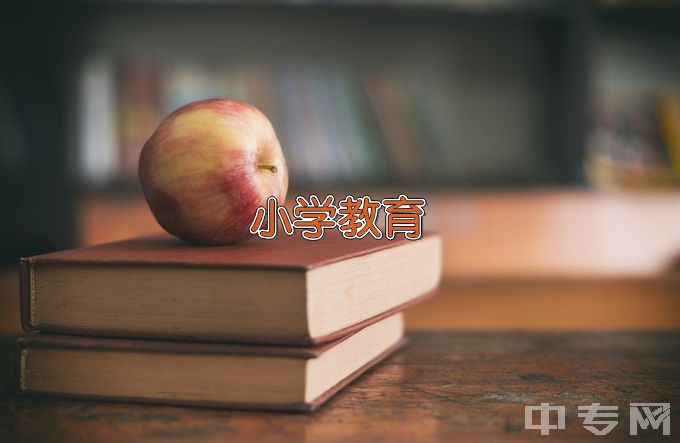 红河学院小学教育