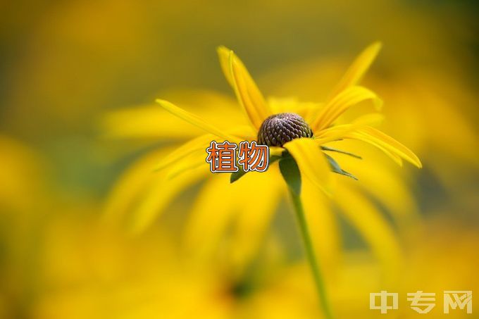 文山学院植物科学与技术