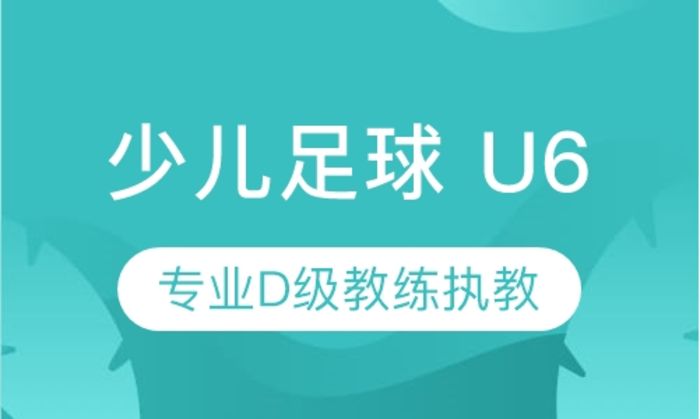 莆田奥暄少儿足球 U6培训班