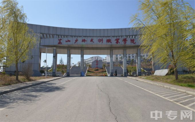 嵩山少林武术职业学院-学院大门