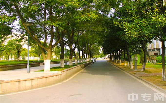 武汉纺织大学-校园小路