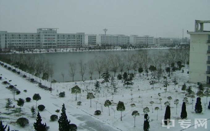 六安职业技术学院-校园雪景