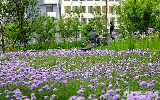 上海电力大学-校园风光1