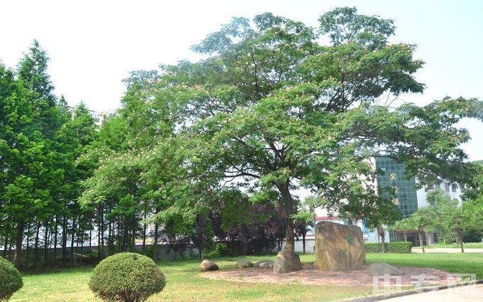 安徽交通职业技术学院-校园风景2