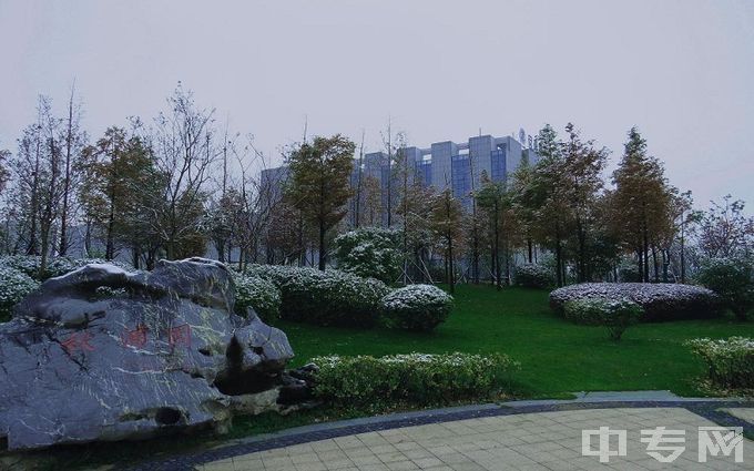 安徽国际商务职业学院-校园风景4