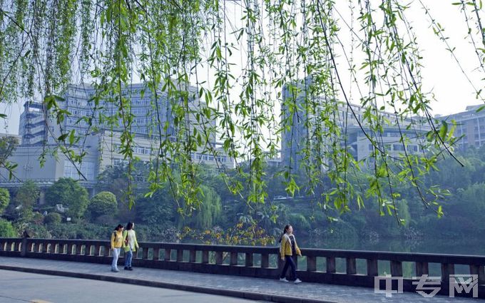 重庆工商大学-湖畔新绿