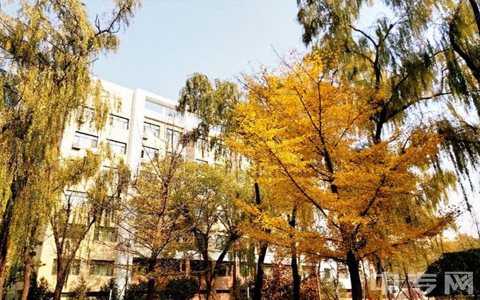 中北大学-秋日树林