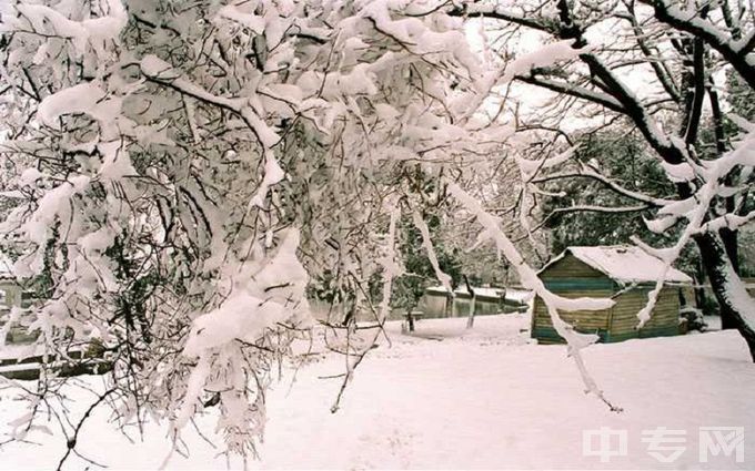 合肥工业大学-雪景