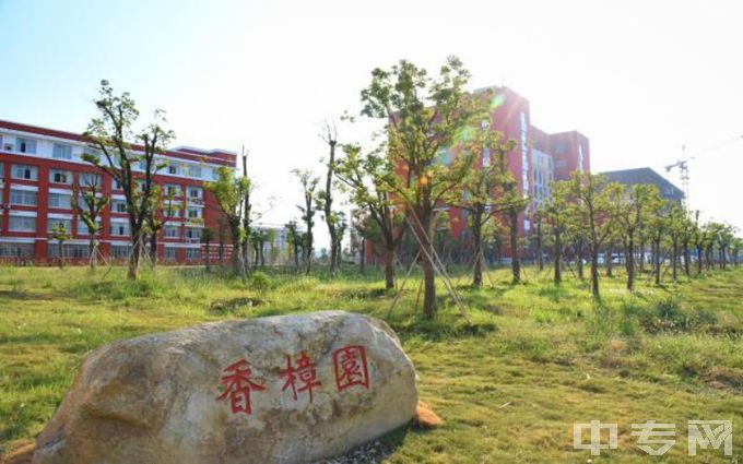 南昌师范学院-香樟园