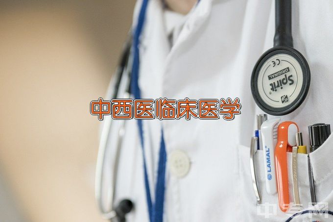 河南中医药大学中西医临床医学