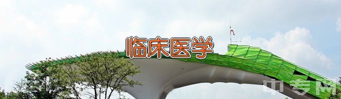 安徽医学高等专科学校临床医学