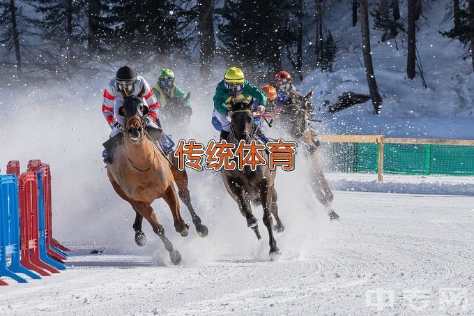 广西体育高等专科学校民族传统体育