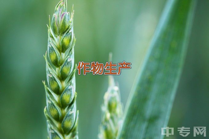 黑龙江生物科技职业学院作物生产与经营管理