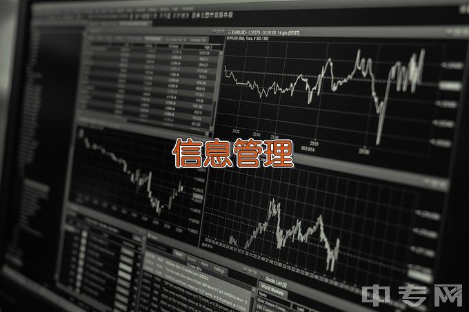 长沙华中医卫科技中等职业学校软件与信息服务