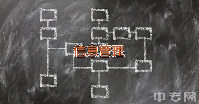 北京印刷学院信息管理与信息系统