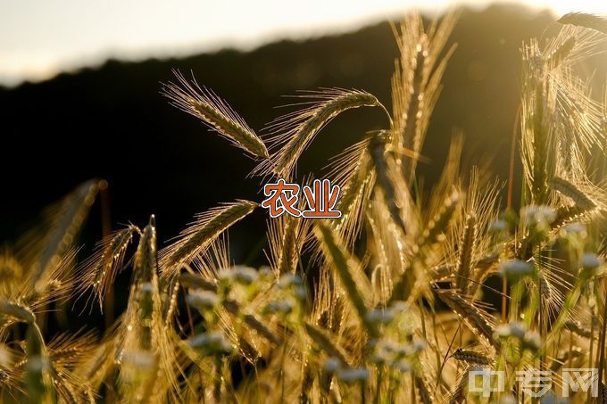 辽宁农业职业技术学院农业生物技术