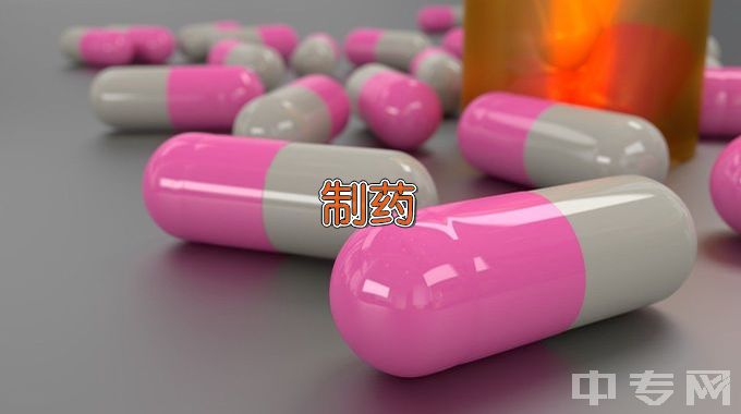 黑龙江八一农垦大学制药工程