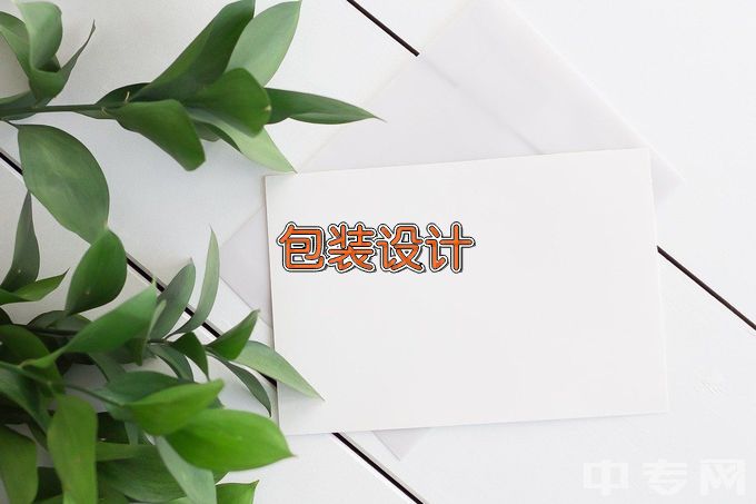 中山火炬职业技术学院包装技术与设计