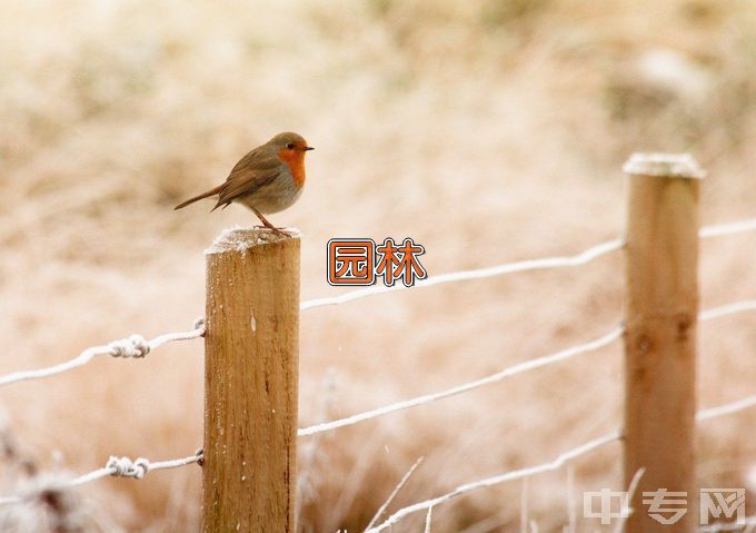 阜阳职业技术学院园林工程技术