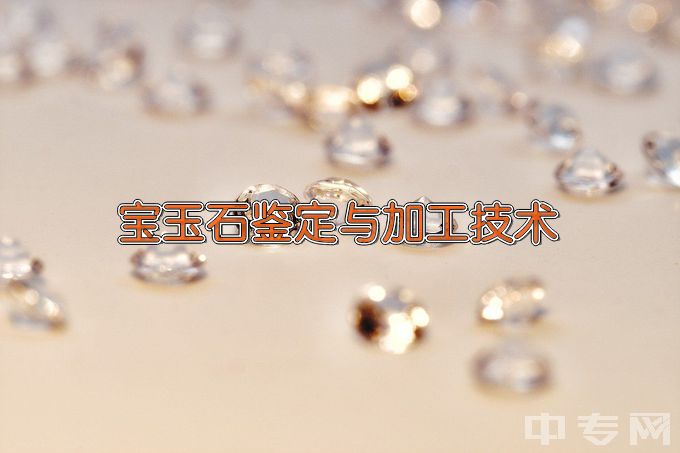 新疆职业大学宝玉石鉴定与加工技术