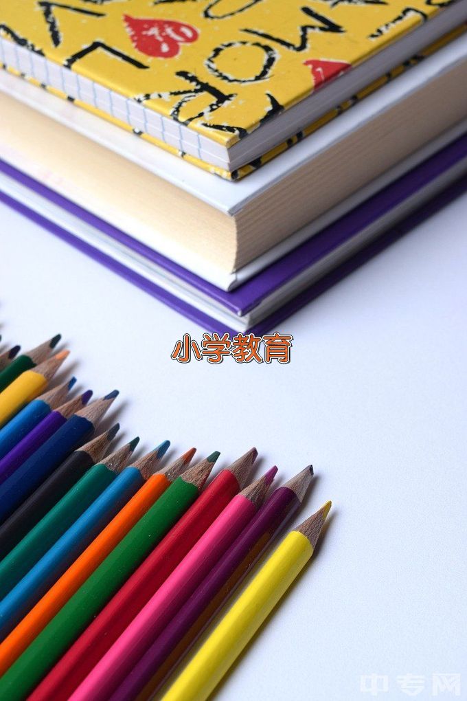 焦作师范高等专科学校小学道德与法治教育