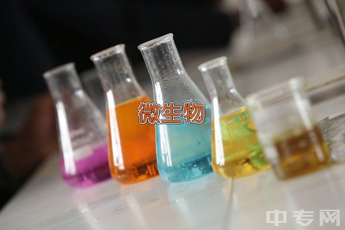 阜阳职业技术学院微生物技术及应用