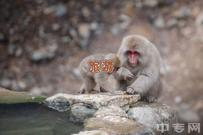 廊坊师范学院旅游管理类