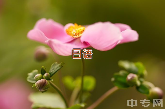 首都师范大学日语