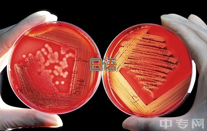 连云港师范高等专科学校商务日语