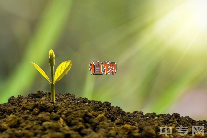 安徽科技学院动植物检疫