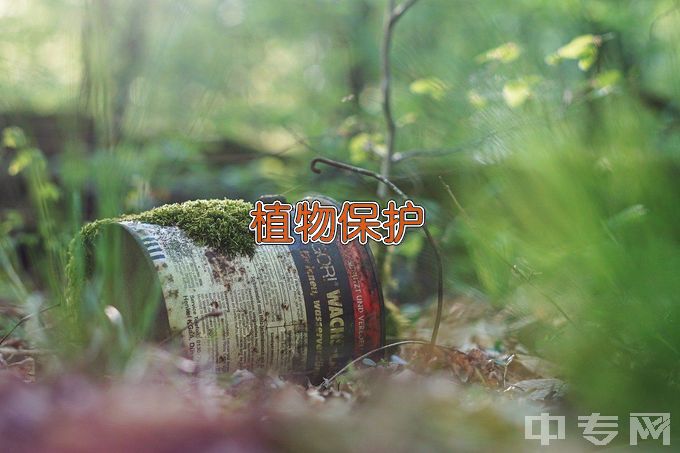 安徽农业大学植物保护