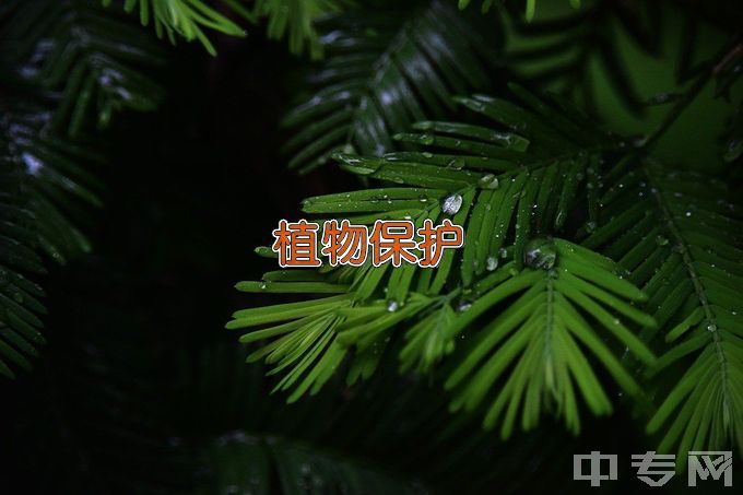 吉林农业大学植物保护