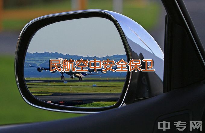 嵩山少林武术职业学院民航空中安全保卫