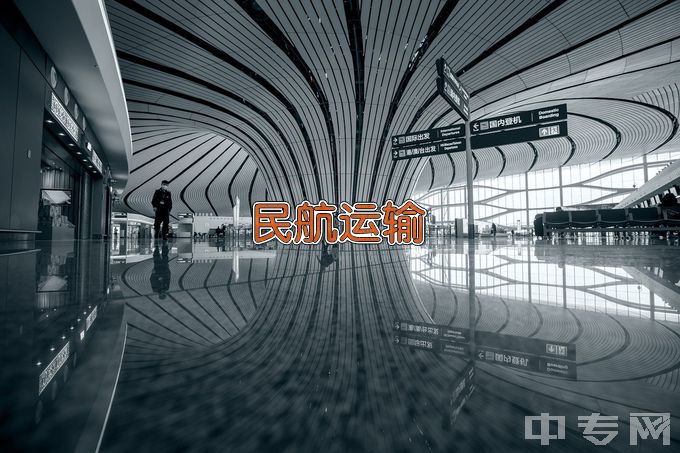 西安航空学院民航运输服务