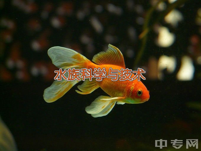 河南师范大学水族科学与技术