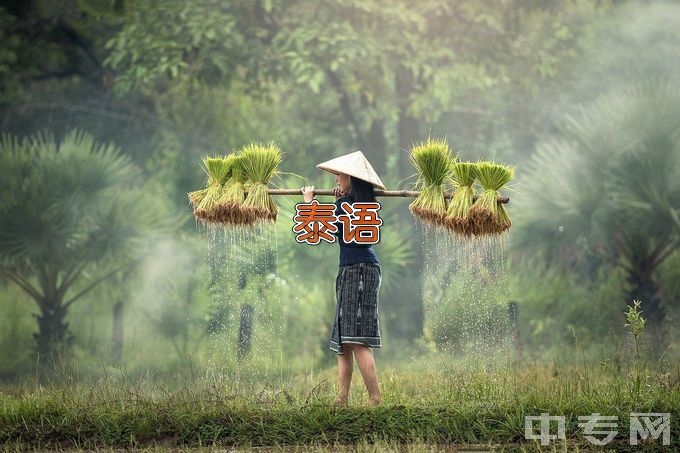 广西英华国际职业学院应用泰语