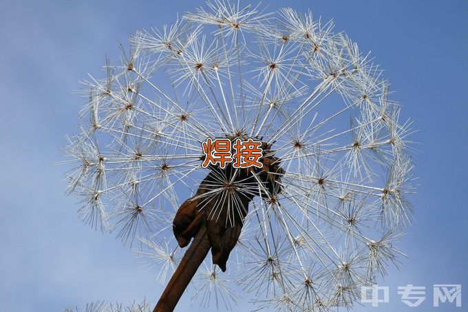 天津机电职业技术学院智能焊接技术