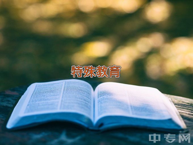 广西幼儿师范高等专科学校特殊教育