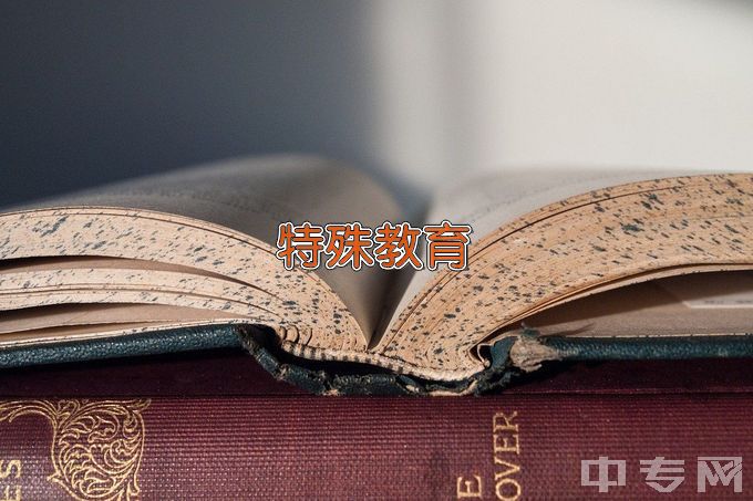 赣州师范高等专科学校特殊教育