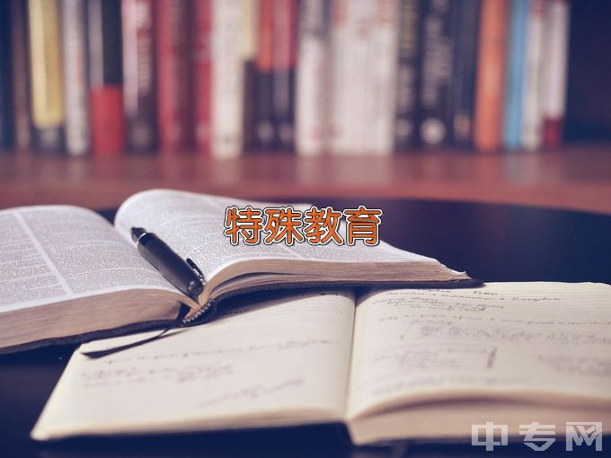 徐州幼儿师范高等专科学校特殊教育