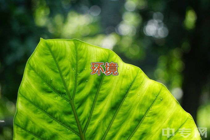 文华学院环境工程