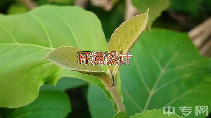 湖北师范大学环境设计