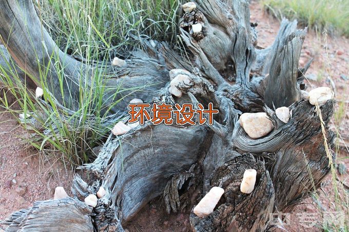 淮阴师范学院环境设计