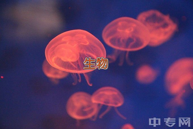 湖南生物机电职业技术学院生物技术及应用