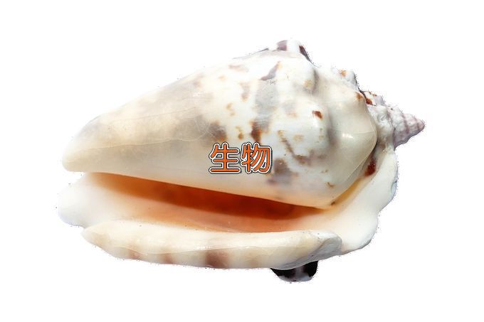 山西师范大学生物科学类