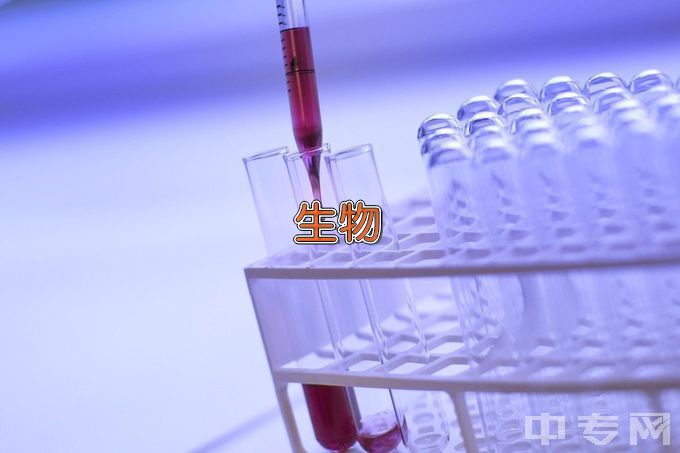 天津医科大学生物医学工程