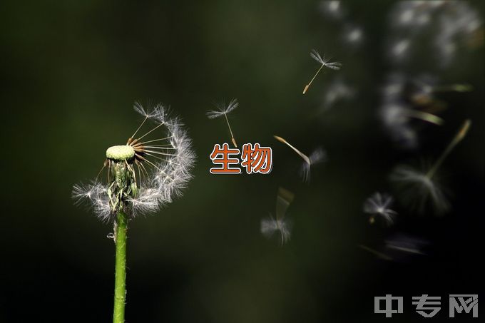 南昌航空大学生物医学工程