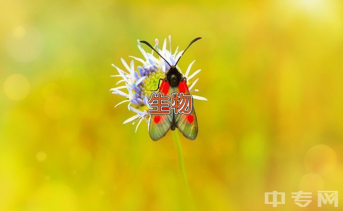 中国计量大学生物医学工程