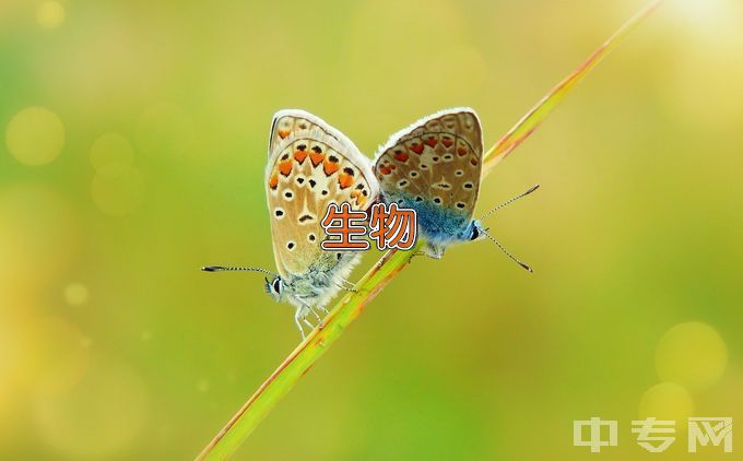 昆明理工大学生物医学工程