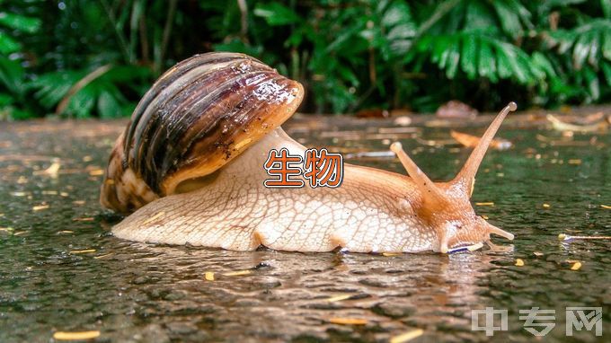 日照职业技术学院生物技术及应用